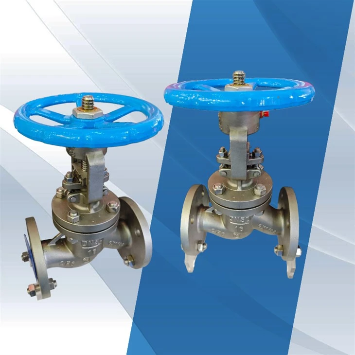 2inch SS304 Shut Off Flange Globe Valve